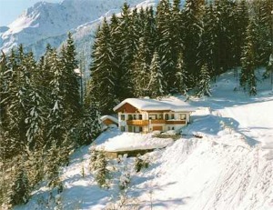 Skiing Holiday Homes in France
